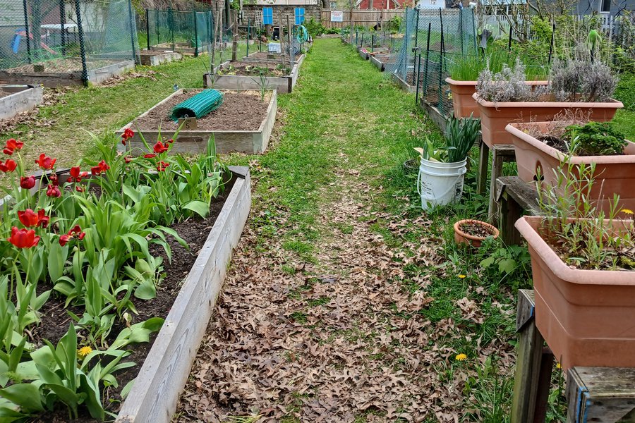 Creating a Photo Garden & Ethical Foraging Methods image