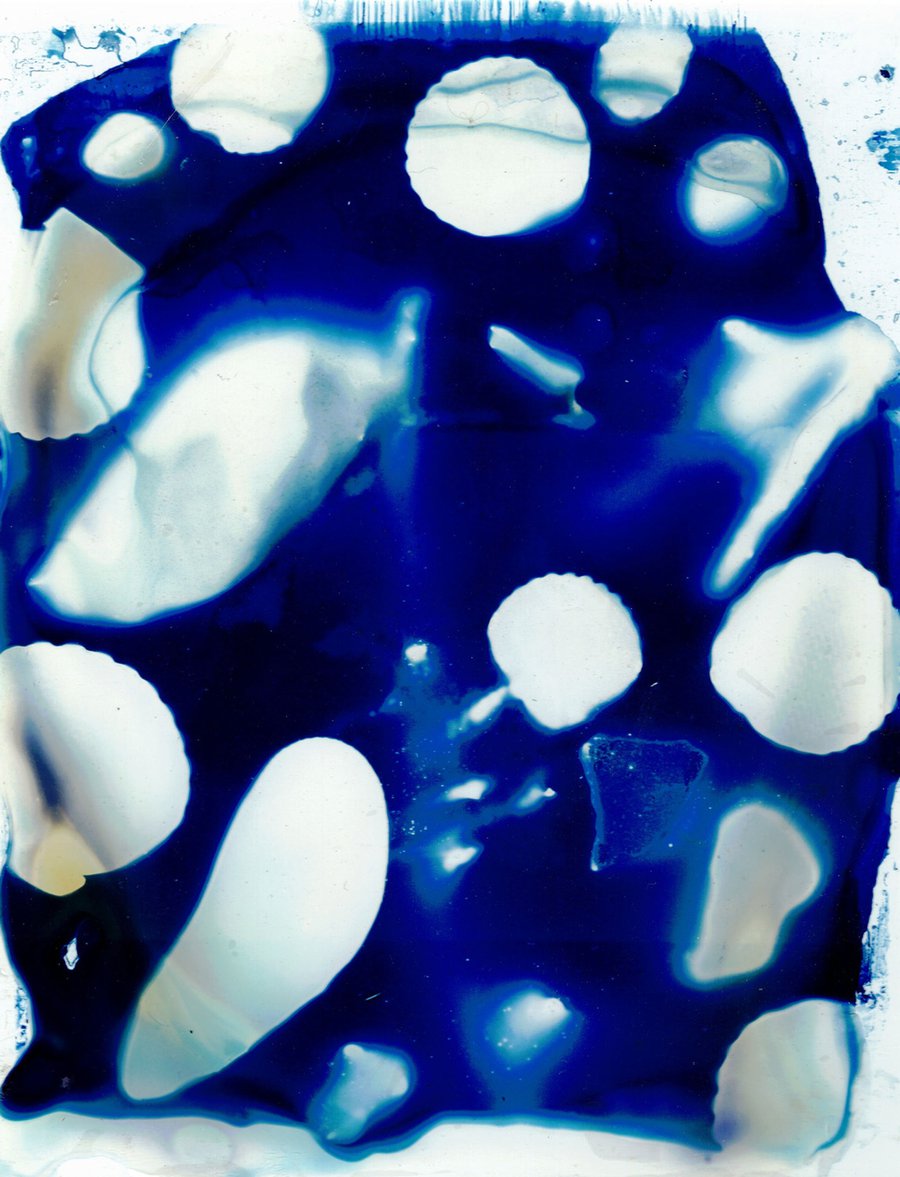 Cyanotype on Glass image