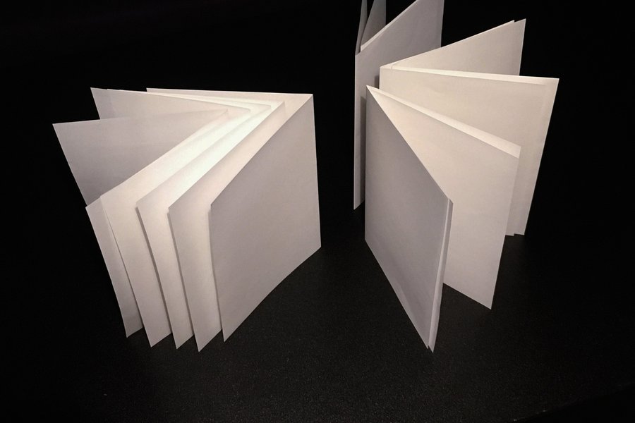 3D Bookbinding: Flag Books image