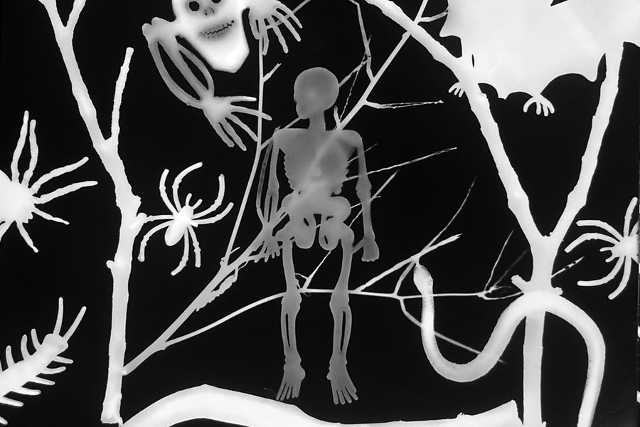 Boo! Photograms (All Ages) image