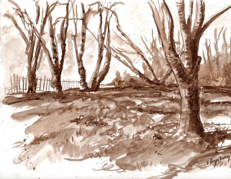 Drawing with Walnut Ink: Online Class - The Flower City Arts Center