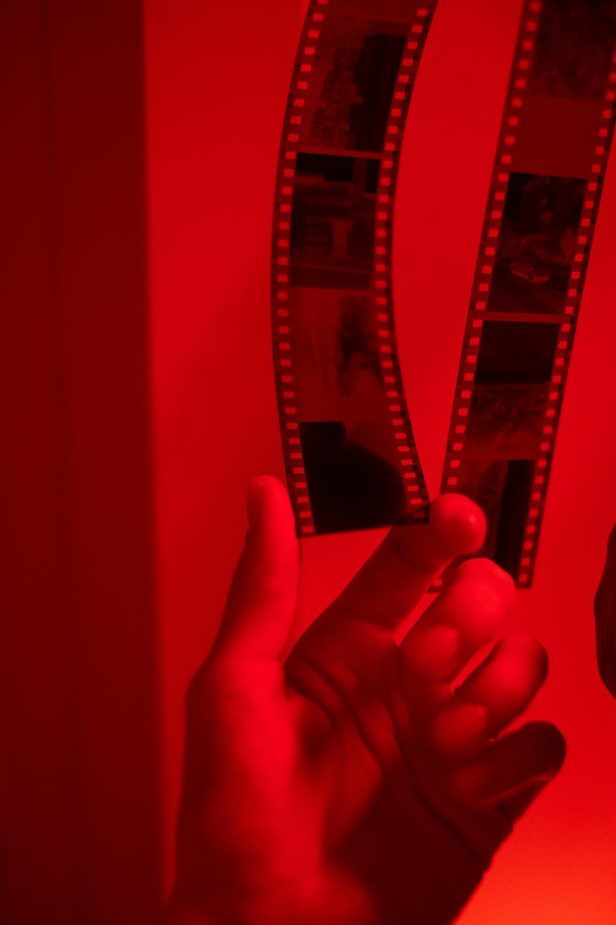 Developing Black and White Film image