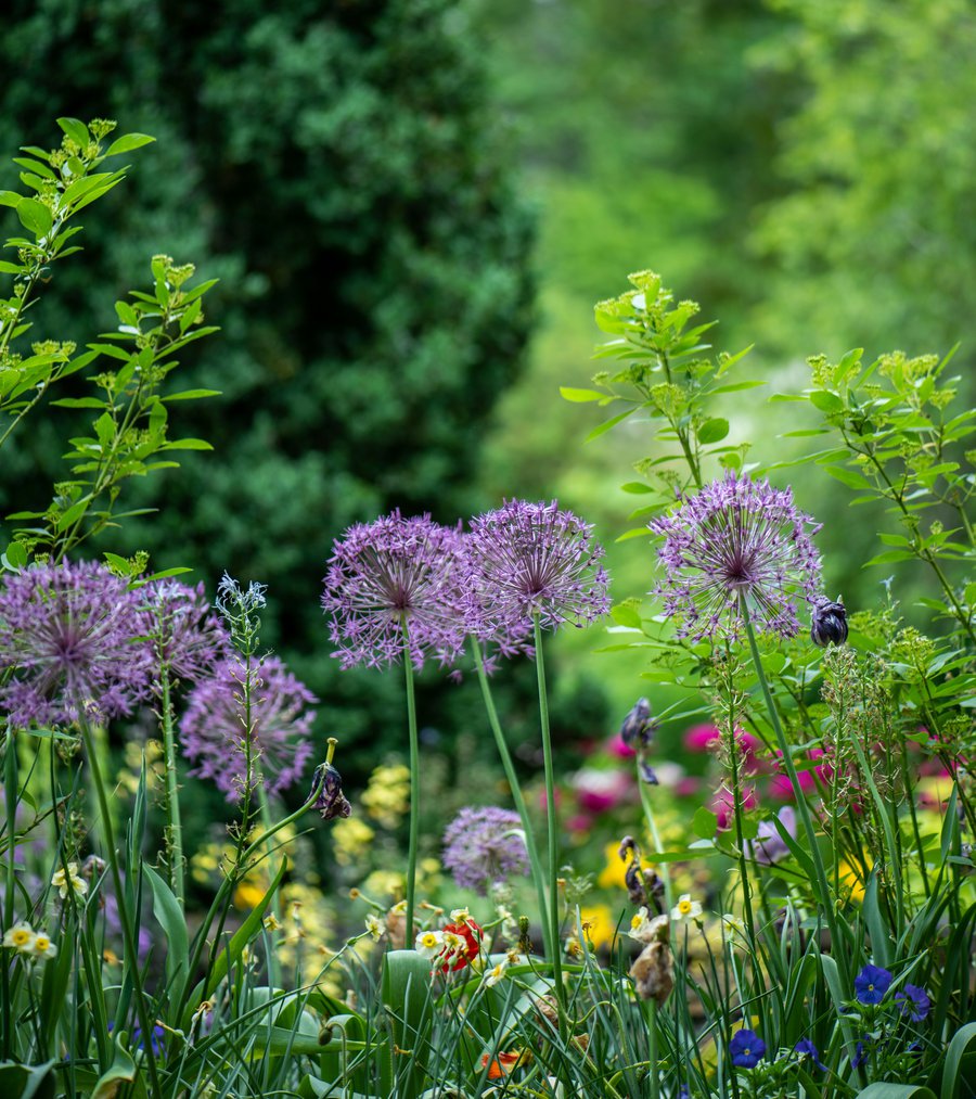 Flower City Film Photography Camp (Ages 12-15) image