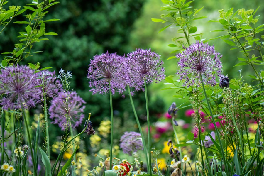 Flower City Film Photography Camp (Ages 12-15) image