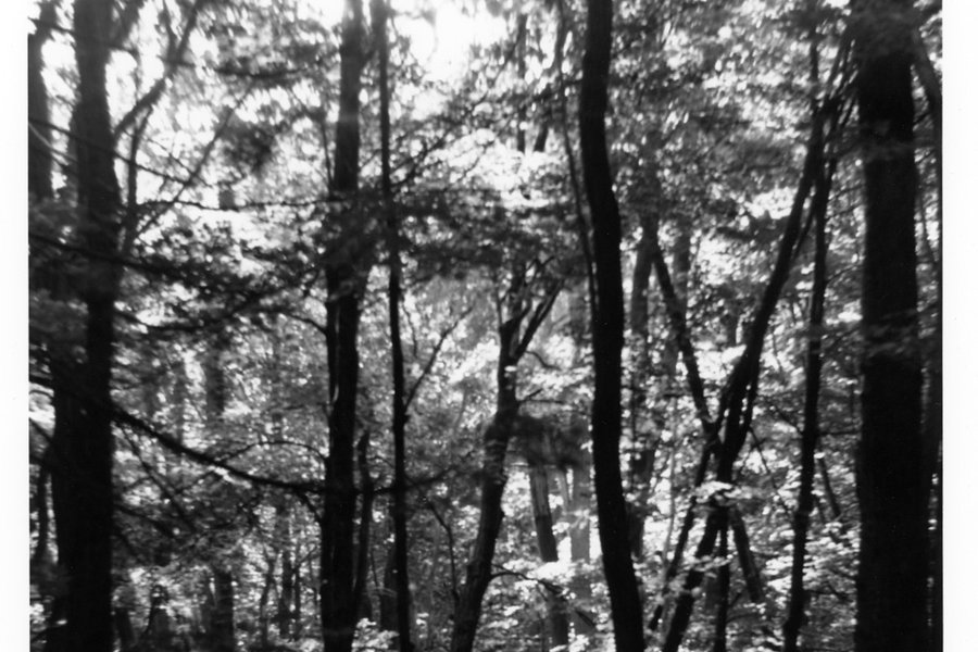 Intermediate Darkroom Techniques image