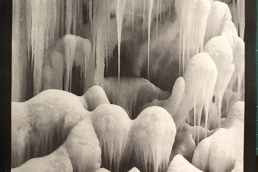 Alternative Process: Kallitype II image