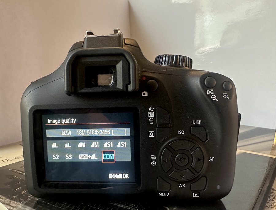 Why shoot RAW? image