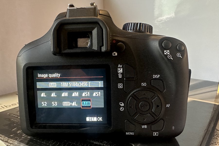 Why shoot RAW? image