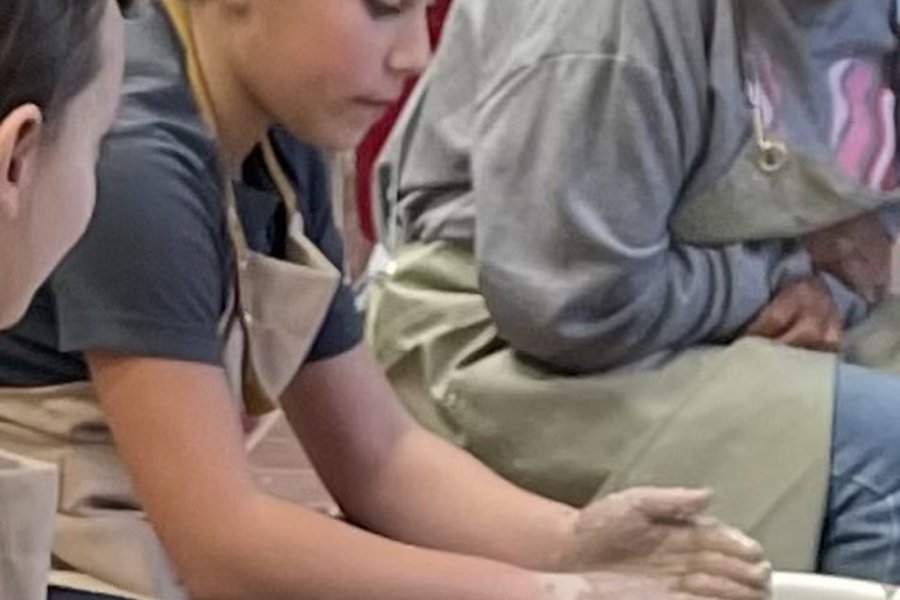 Family Fling: On the Wheel! image