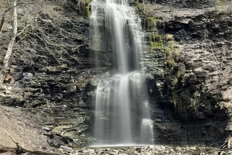 iPhone Photography Fundamentals image
