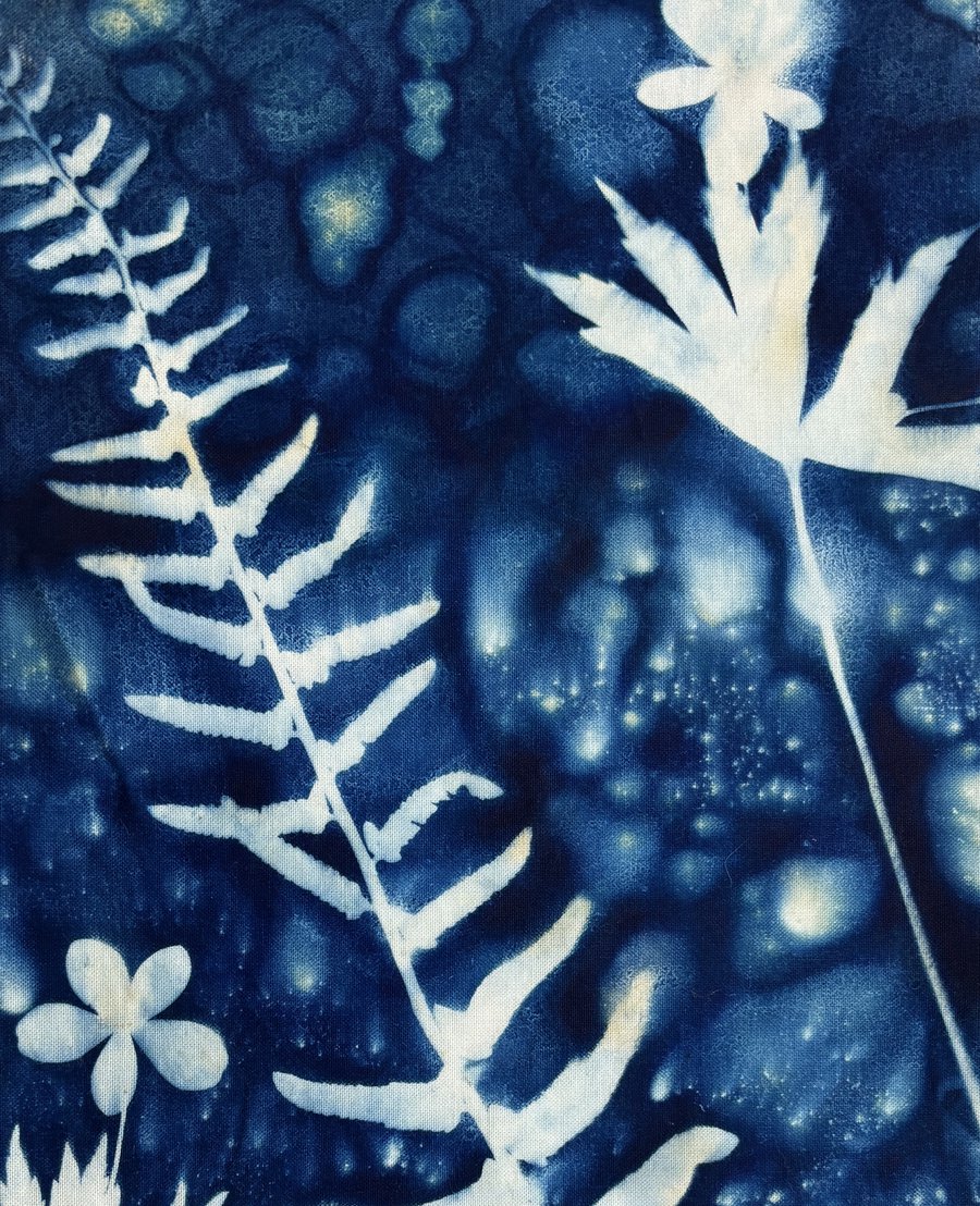 Discover Cyanotype image