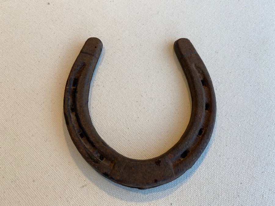 Make Your Own Lucky Horseshoe! image
