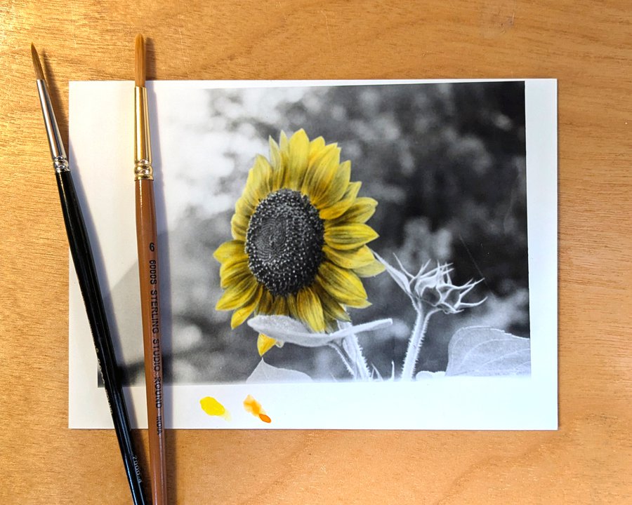 Flower City Film Photography Camp (Ages 12-15) image