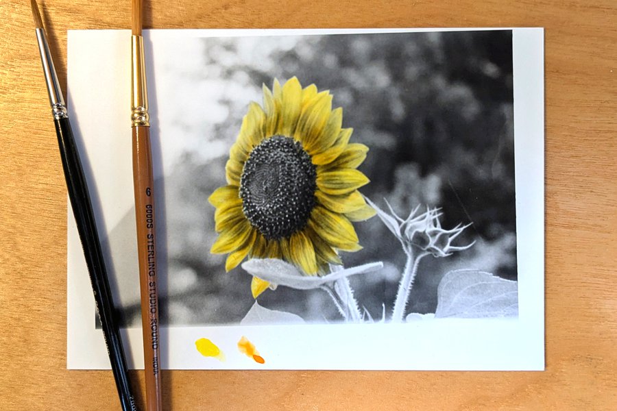 Flower City Film Photography Camp (Ages 12-15) image