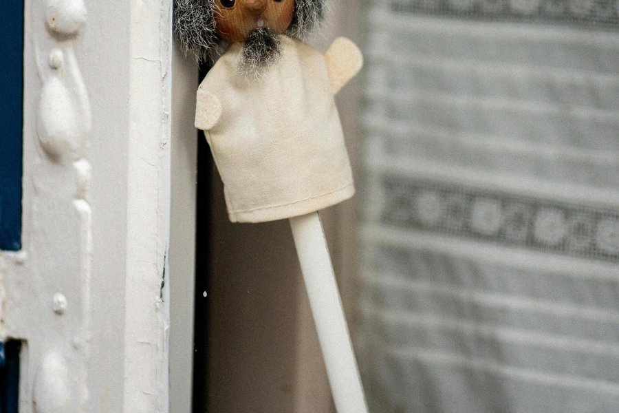 Parent (Caregiver) and Child Puppetry Ages 5-8 image