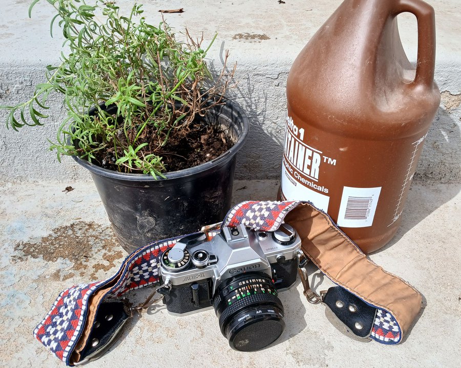 Plant-based Film Developing image