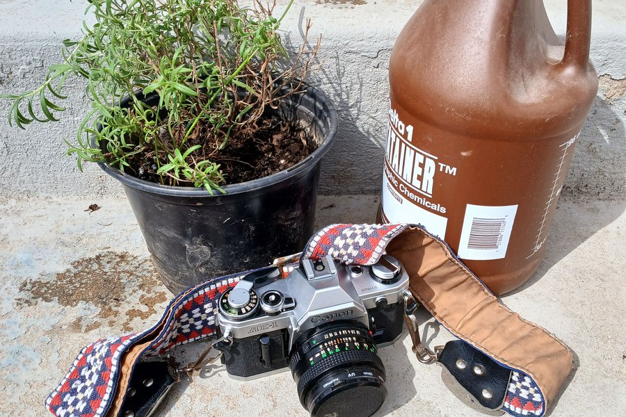 Plant-based Film Developing image