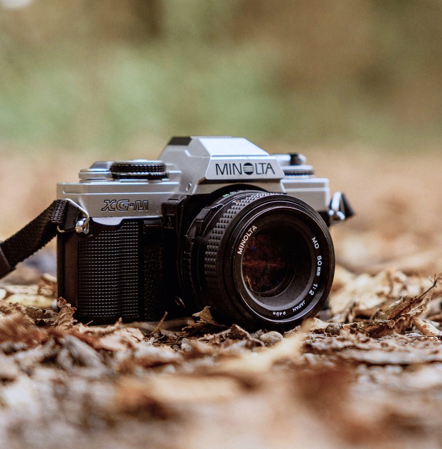 Go Retro with Film: Introduction to Photography image