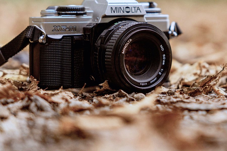 Go Retro with Film: Introduction to Photography image
