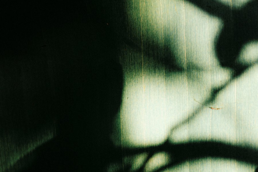 Photo Transfer & Mixed Media Workshop image