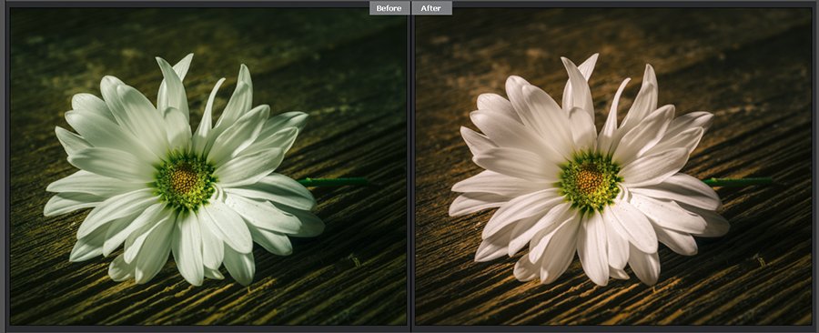 Understanding White Balance image