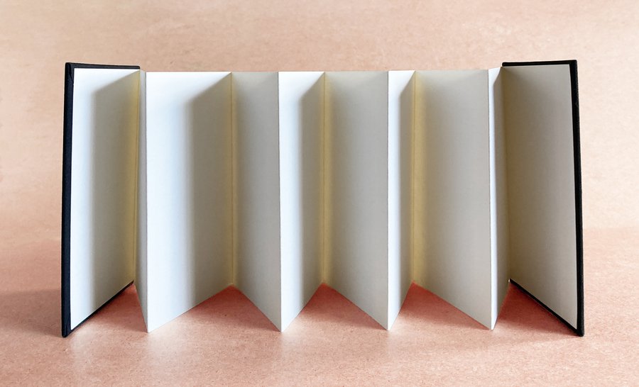 Bookbinding: Hardcover Accordions image