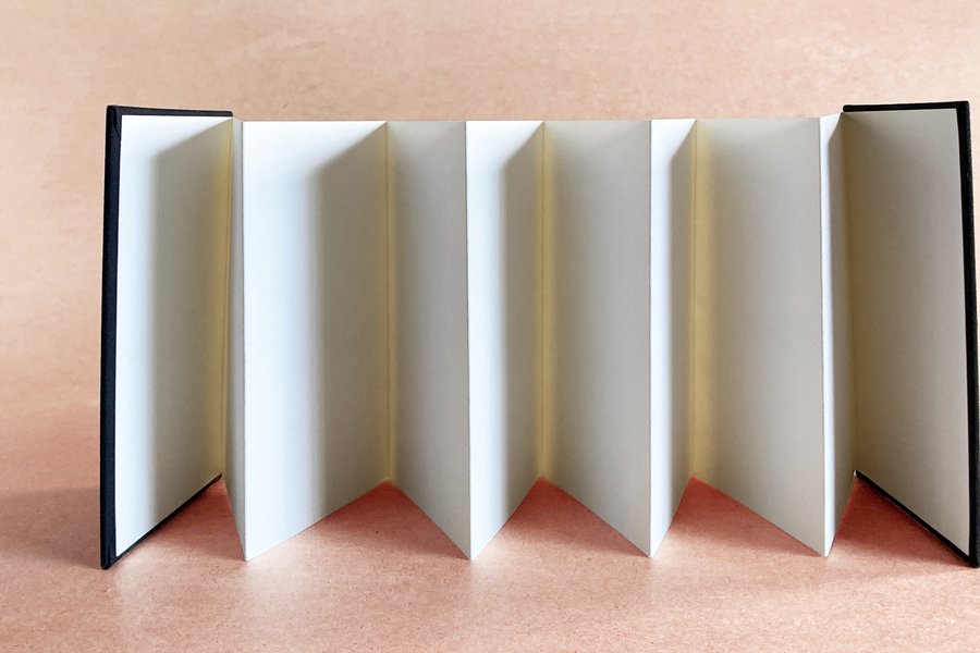 Bookbinding: Hardcover Accordions image