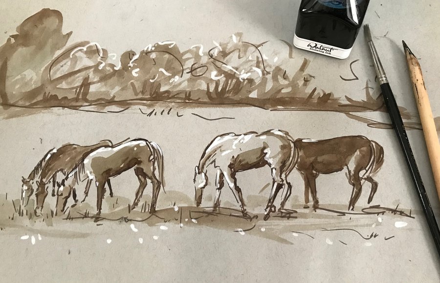 Drawing Horses from Life image