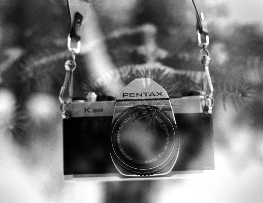 Go Retro with Film: Introduction to Photography image