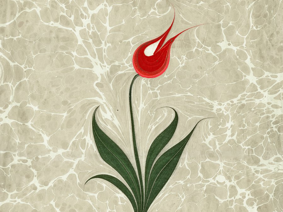 Paper Marbling II image