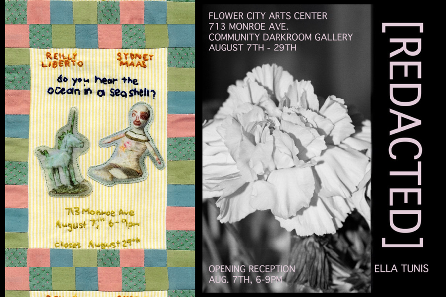 Image of The Flower City Arts Center demonstrating their  program