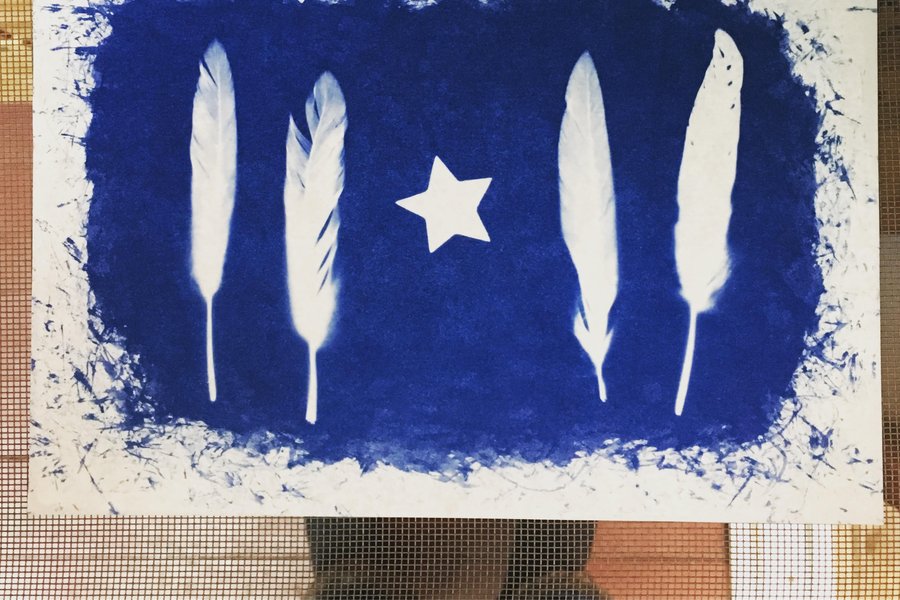 Friday Fling: Photography (Cyanotype) image